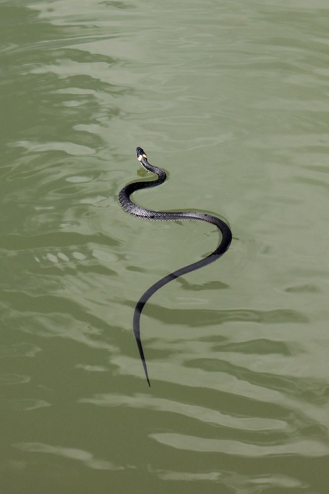 Photograph by Дарья Улюсова