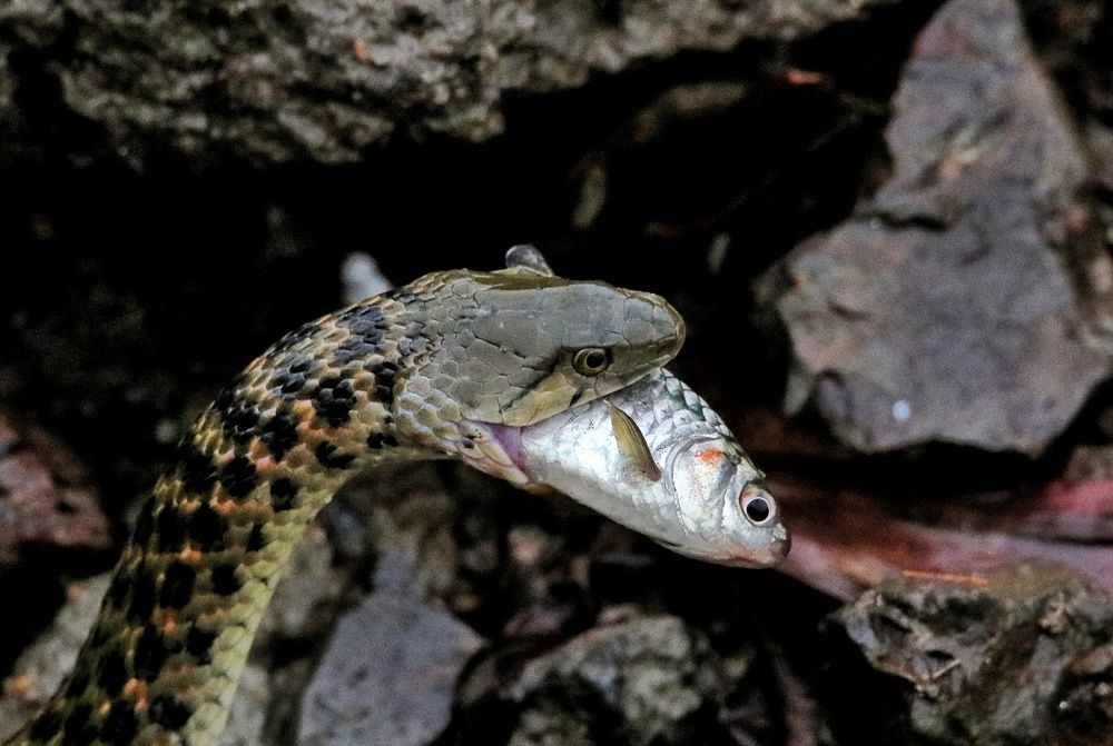 Photograph by Nirav Mehta
