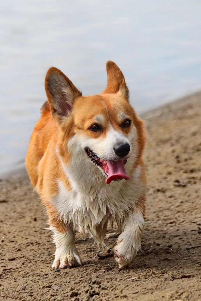 Photograph by Татьяна Бравая