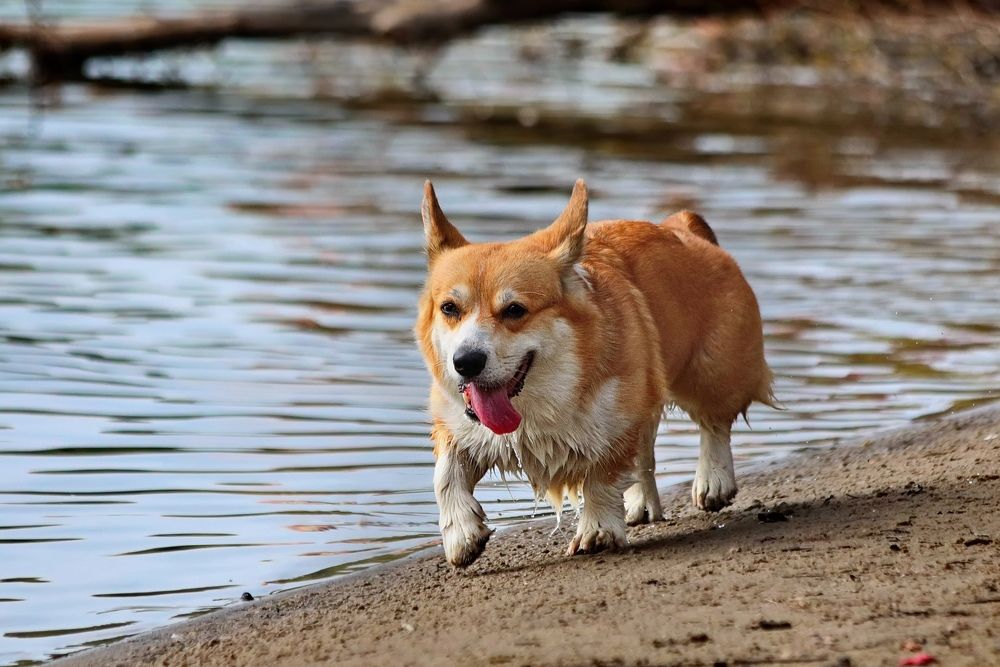 Photograph by Татьяна Бравая
