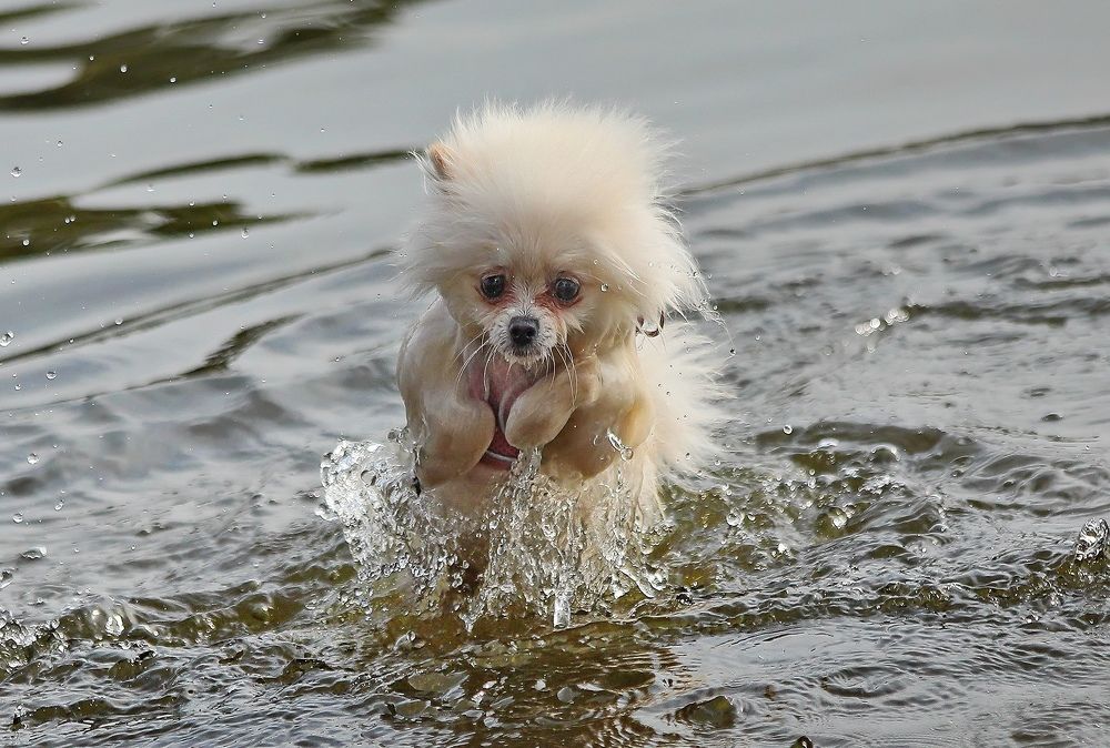 Photograph by Татьяна Бравая