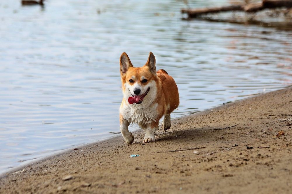 Photograph by Татьяна Бравая