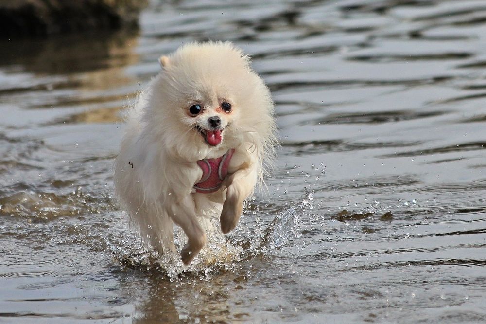 Photograph by Татьяна Бравая