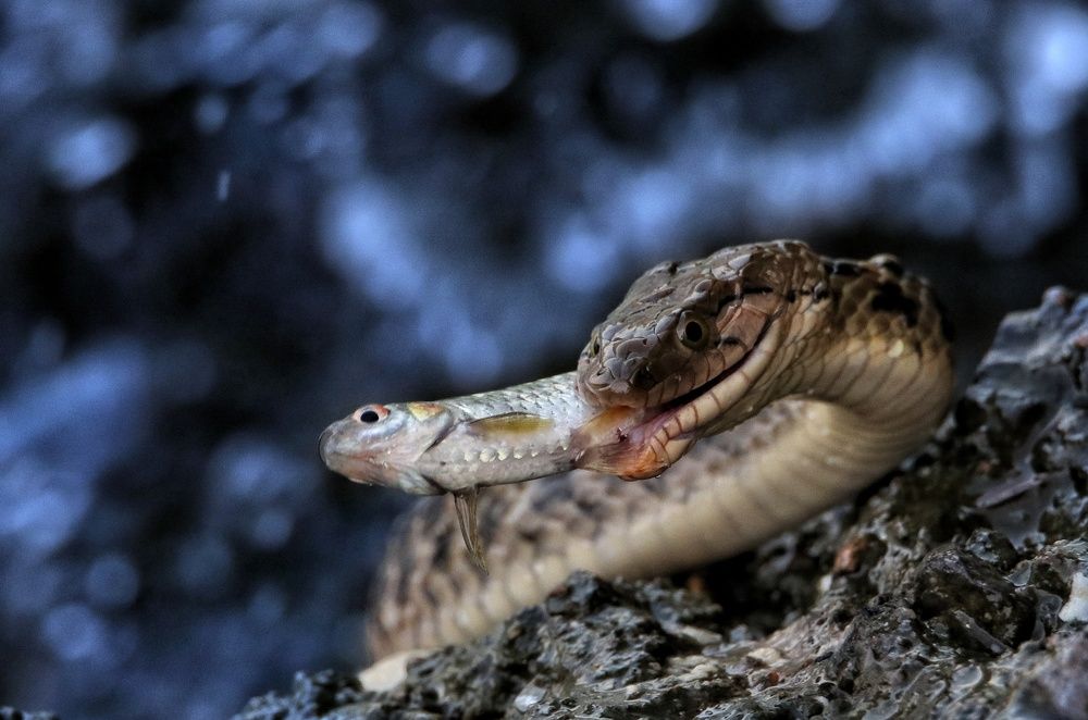 Photograph by Nirav Mehta