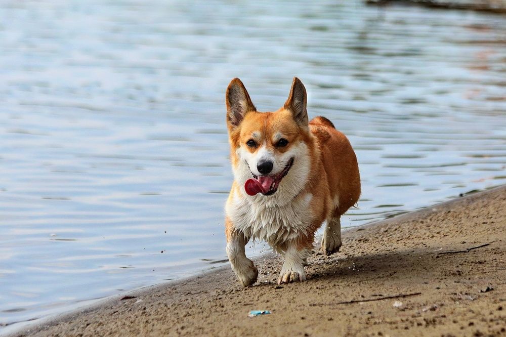 Photograph by Татьяна Бравая