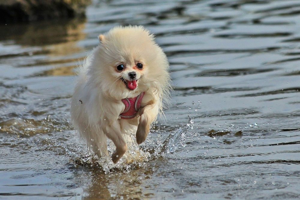 Photograph by Татьяна Бравая