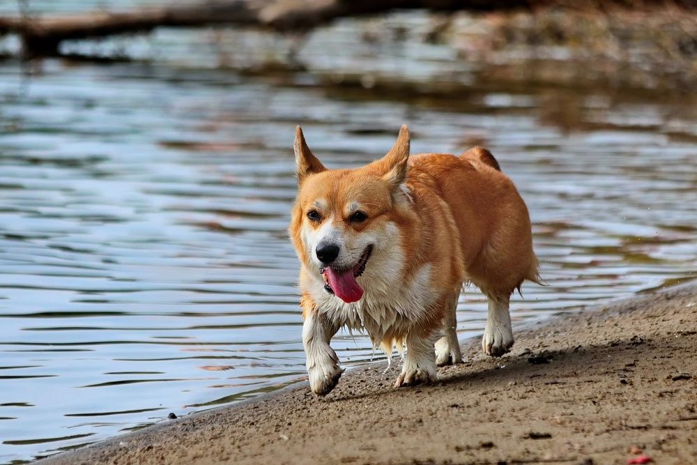 Photograph by Татьяна Бравая