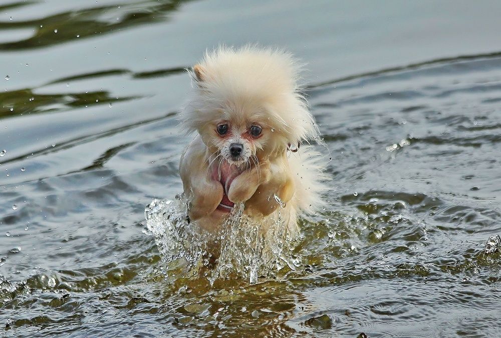 Photograph by Татьяна Бравая