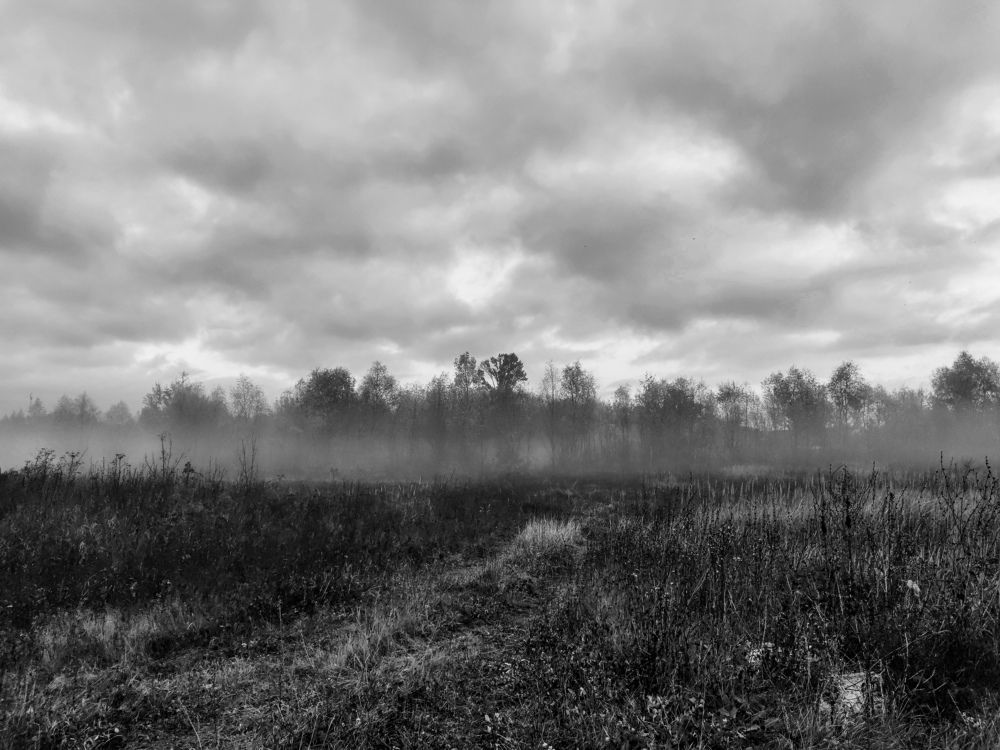 Photograph by Алия Латыйпова