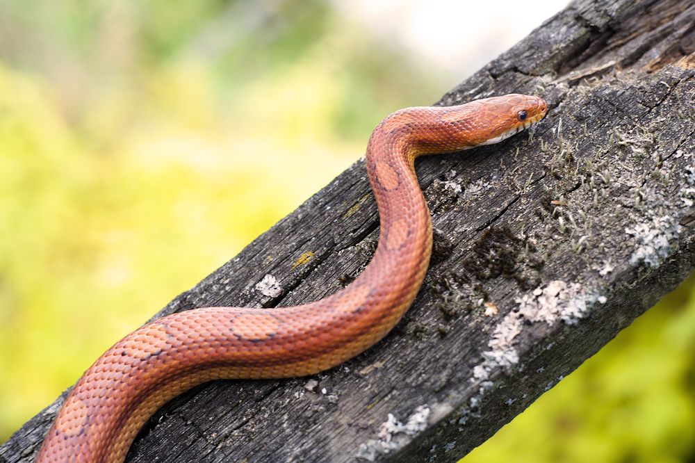 Photograph by Панюшкин Андрей