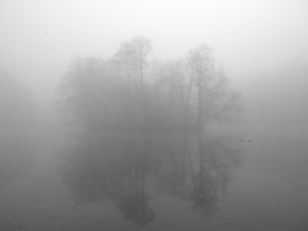 Photograph by Духанин Сергей