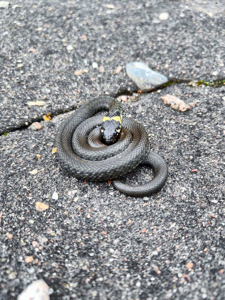 Photograph by Roman Dmitriev