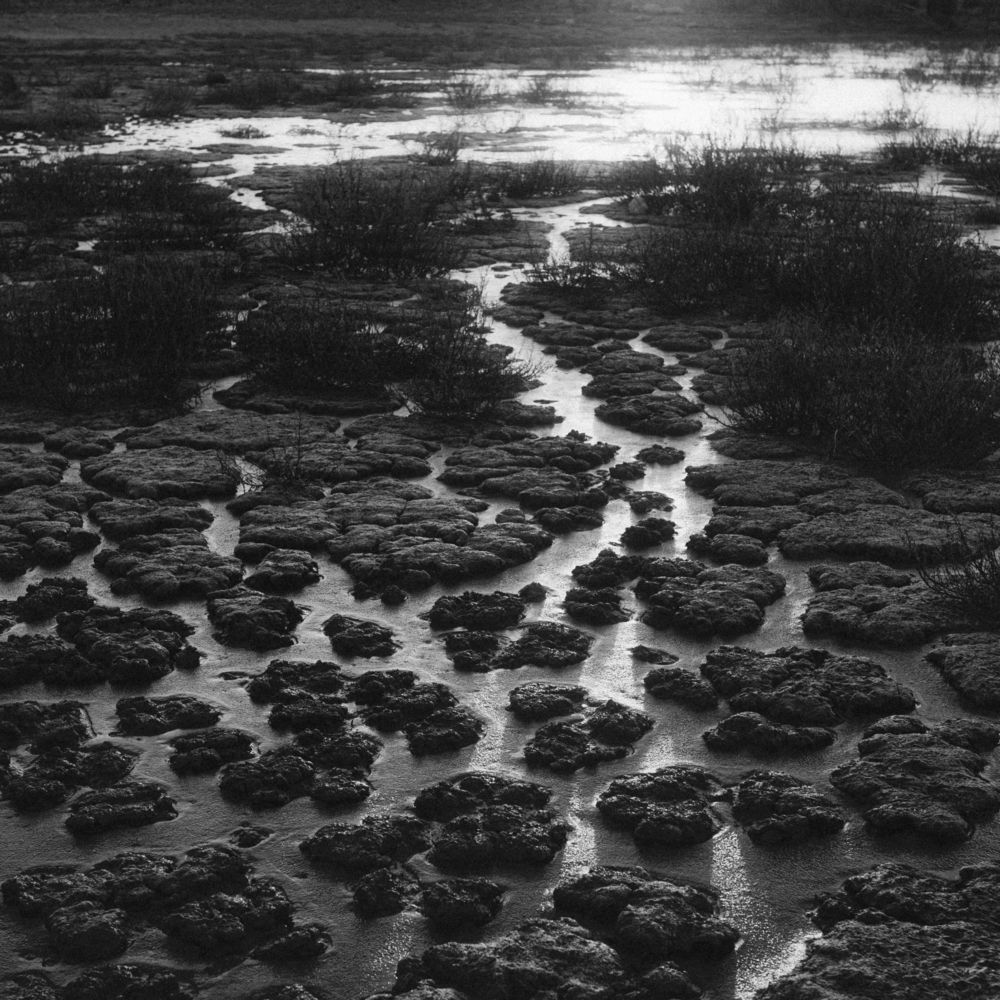 Фотография автора Oleg Suhenko