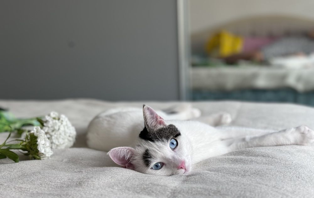 Photograph by Кристина Сидорова