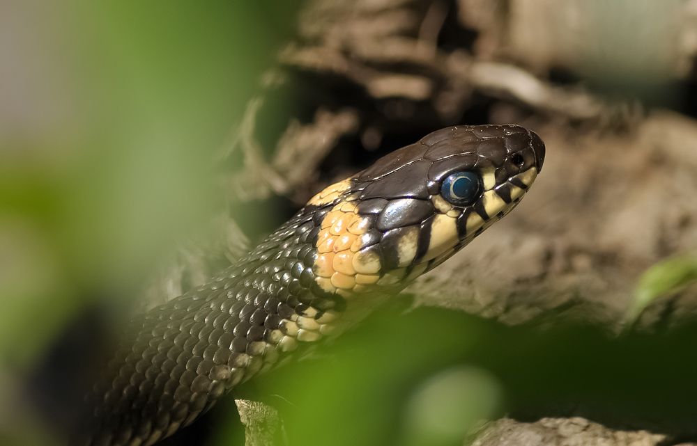 Photograph by Рыболов Андрей