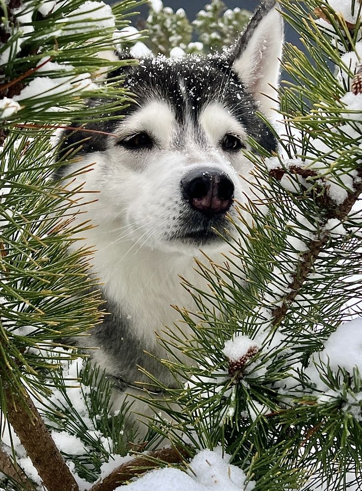 Photograph by Олеся Королева