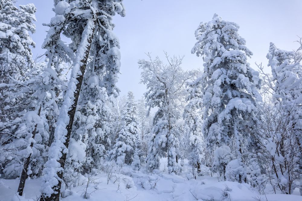 Photograph by Екатерина Лицкан