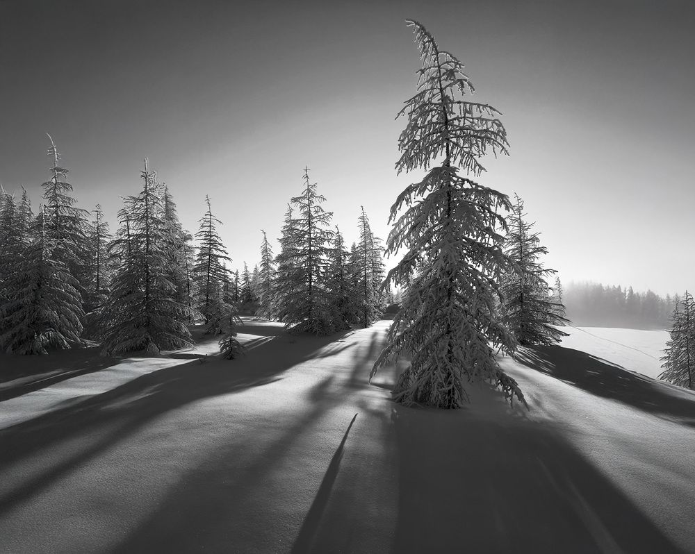 Photograph by Галина Искандарова