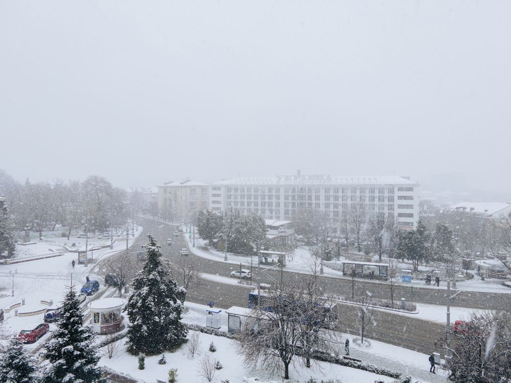 Photograph by Артём Гуцалюк