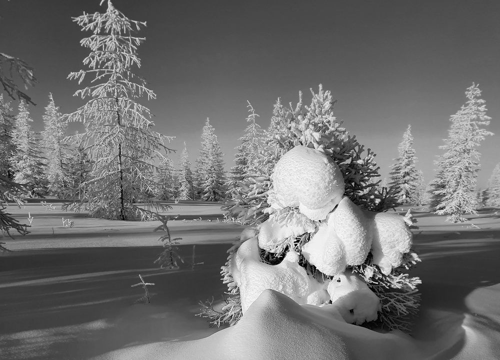 Photograph by Галина Искандарова