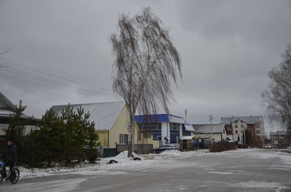 Фотография автора Алексей Власов