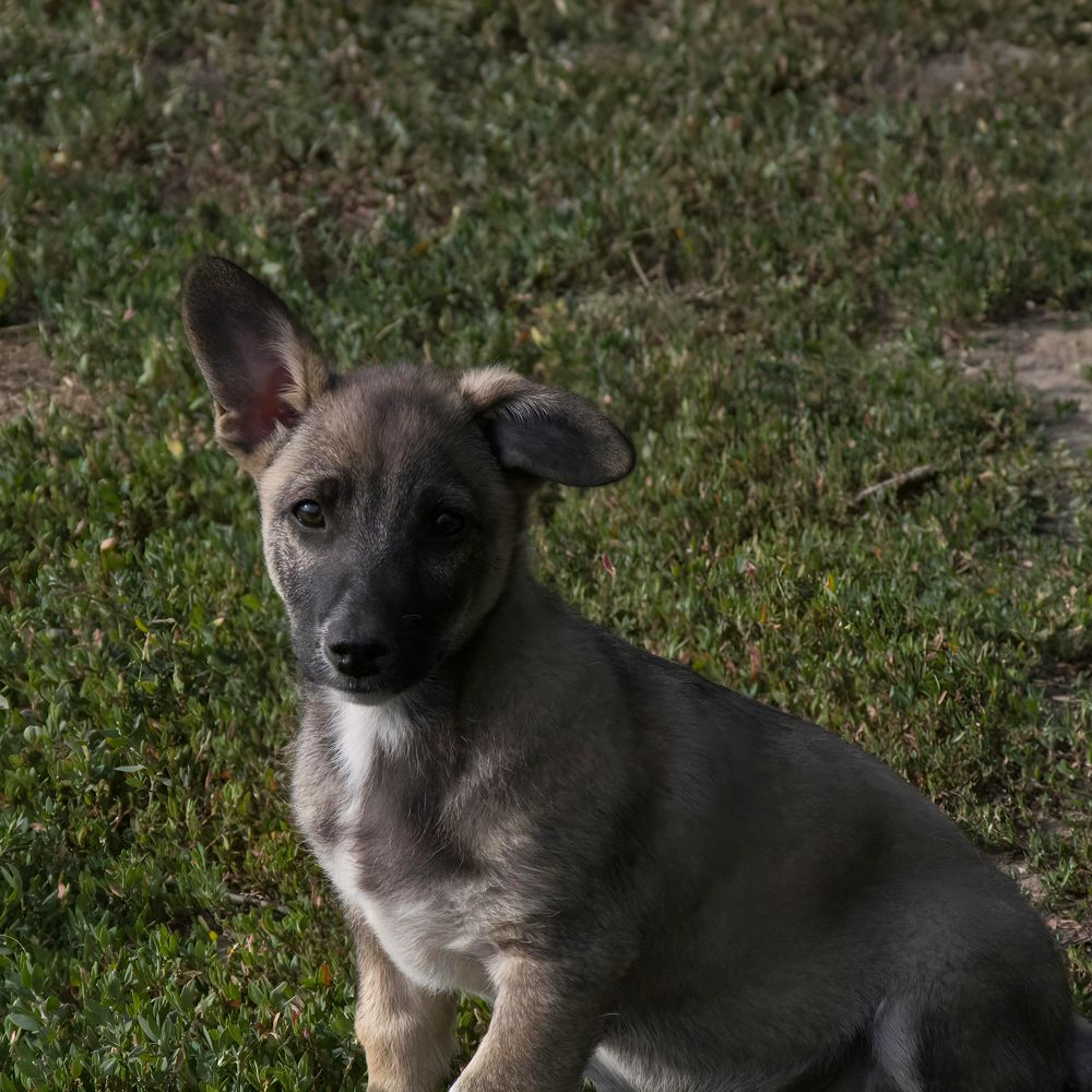 Photograph by Ирина Шибитова