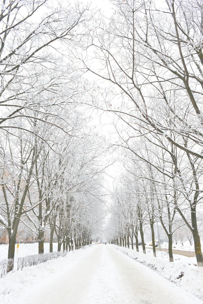 Photograph by Алексей Volg