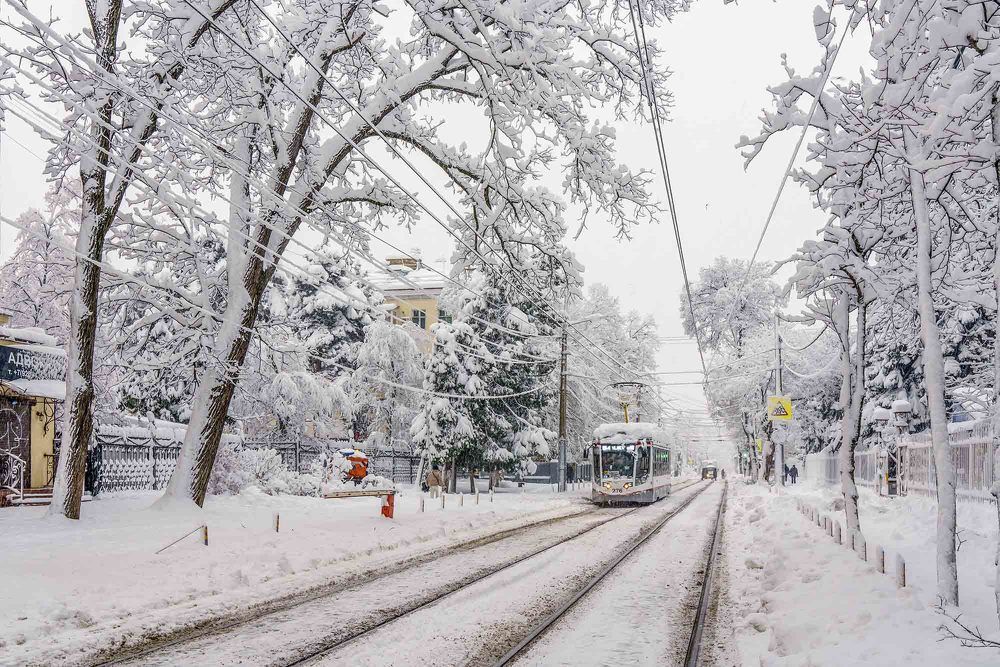 Photograph by Евгений Киселев