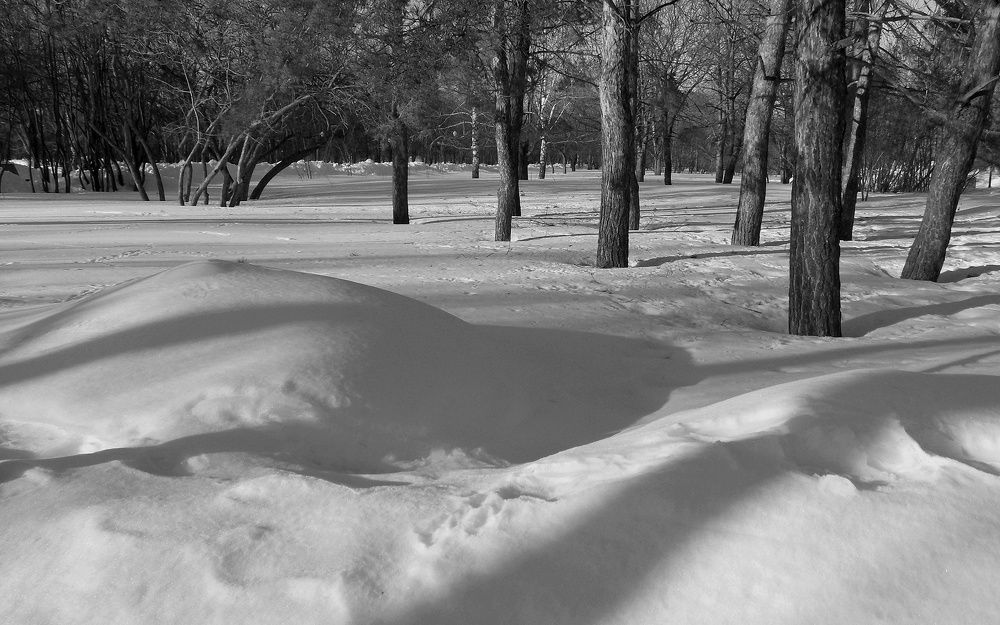 Photograph by Сергей Рудаков