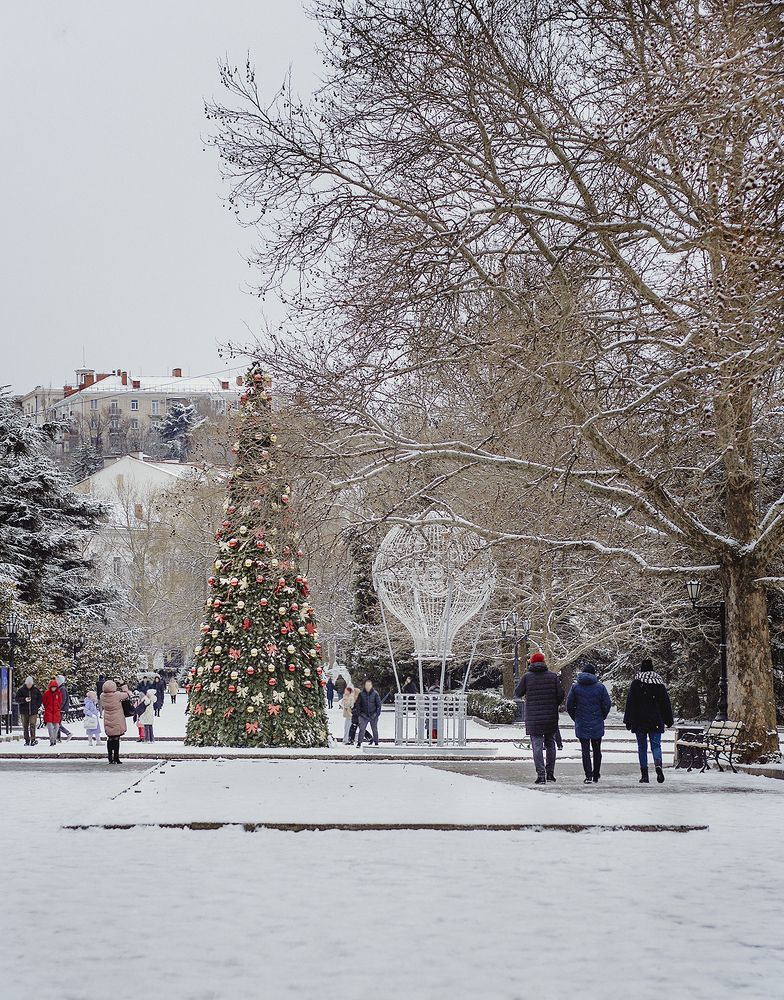 Новогодняя прогулка