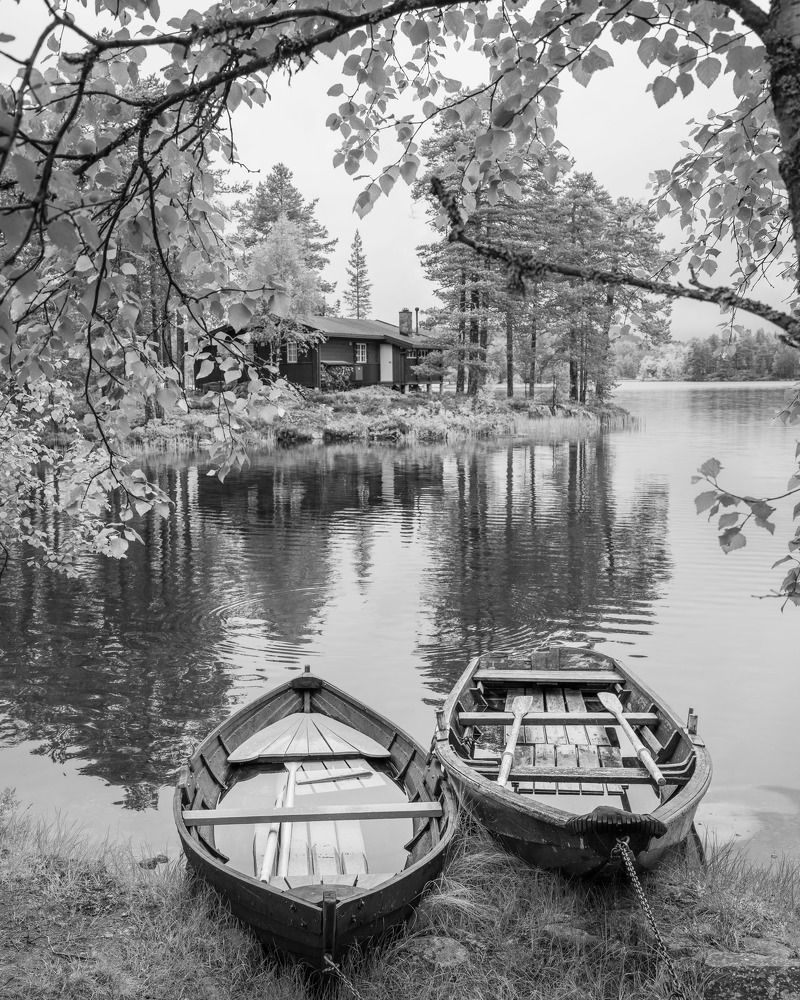 Photograph by Susn Jensen