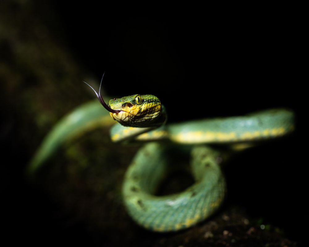 Photograph by Abhisek Bagaria