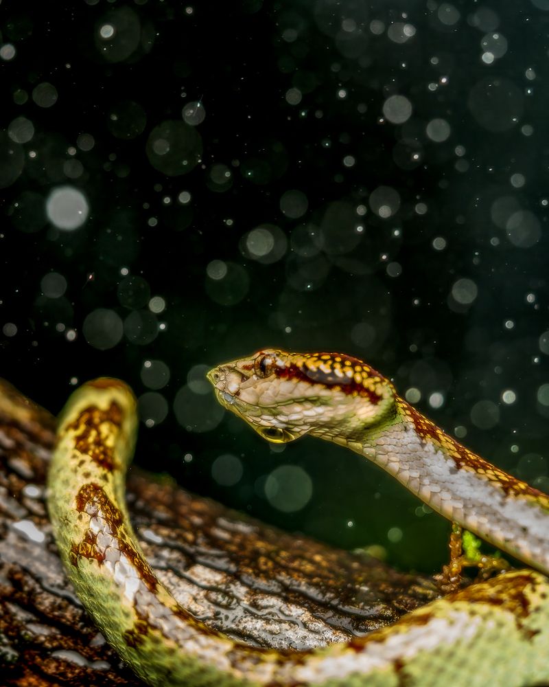 Photograph by Abhisek Bagaria