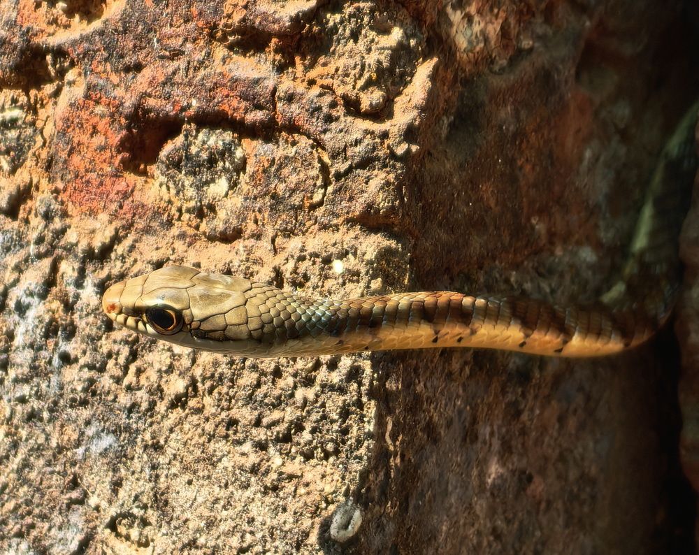 Photograph by Кристина Рыбина