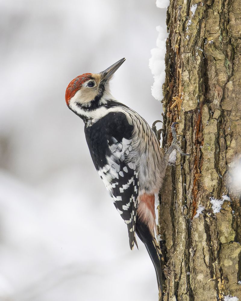 Photograph by Руслан Pl