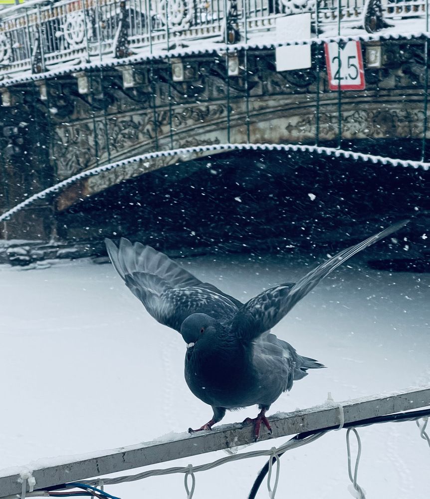 Photograph by Виталий Головащенко