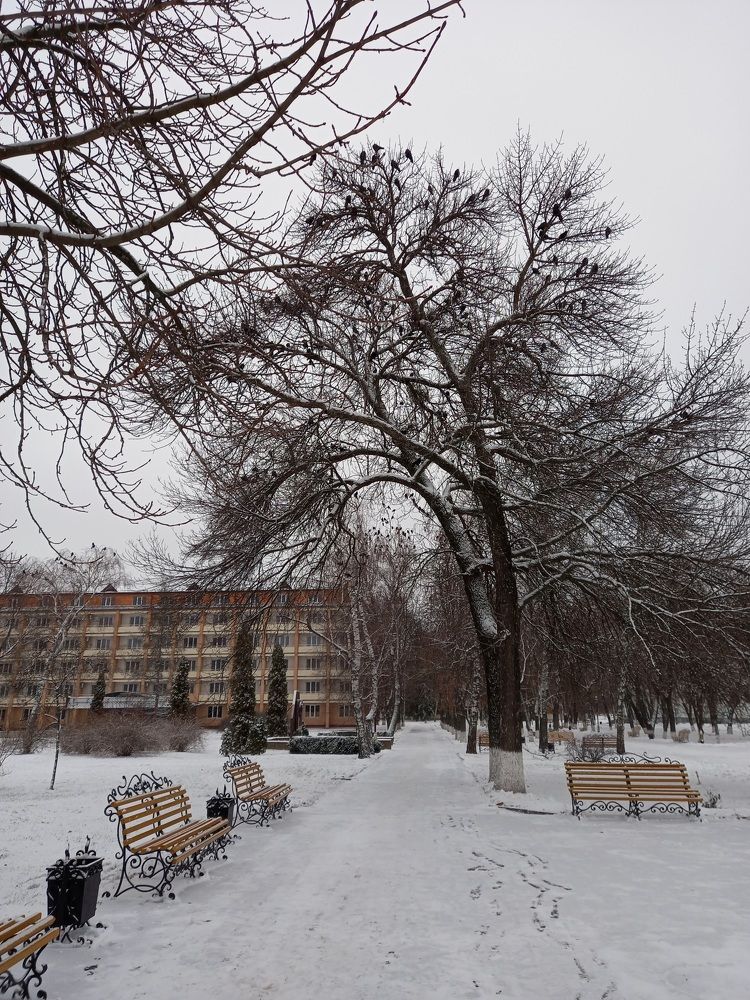 Фотография автора Oksana Podgorodetska