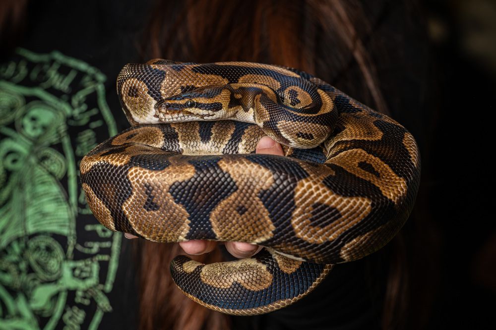 Photograph by Иван Грачев