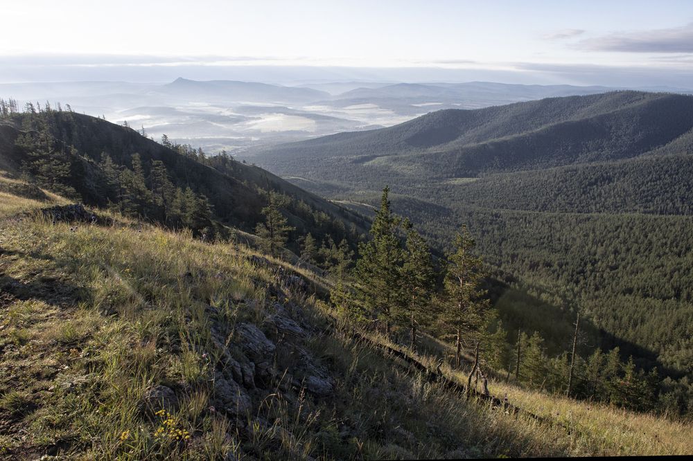 Фотография автора Веста Ягужинская