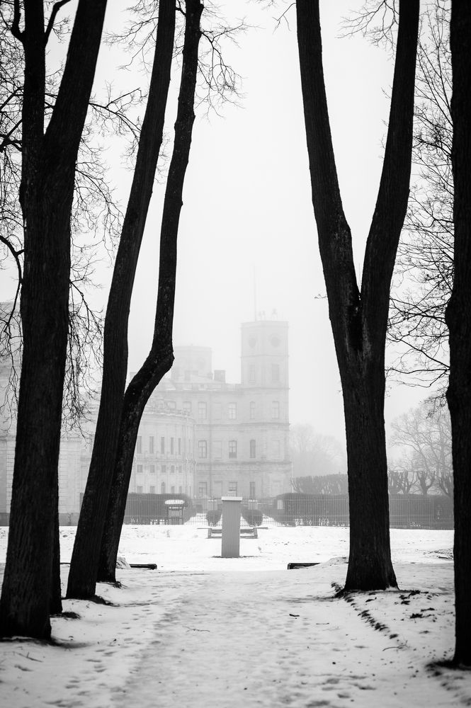 Фотография автора Mikka Hallakas