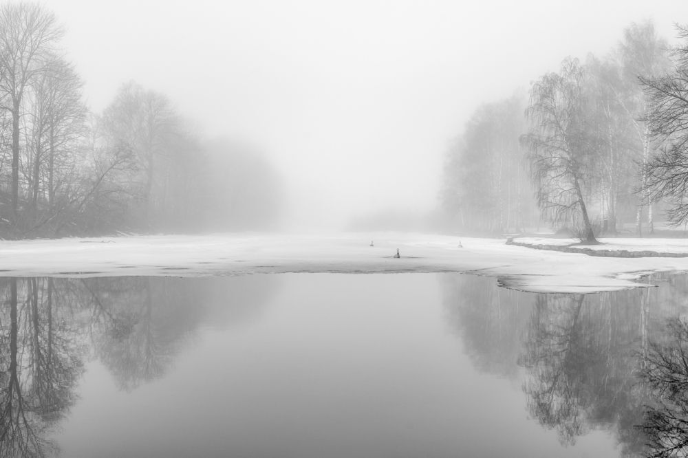 Photograph by Susn Jensen