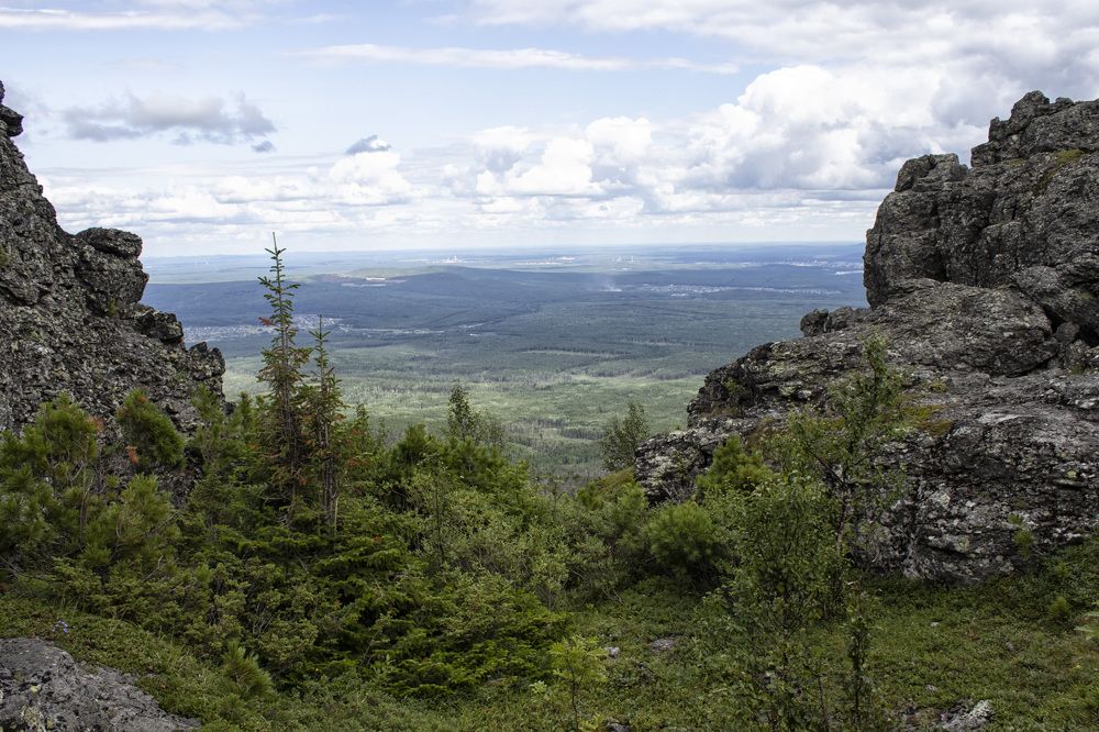 Фотография автора Веста Ягужинская
