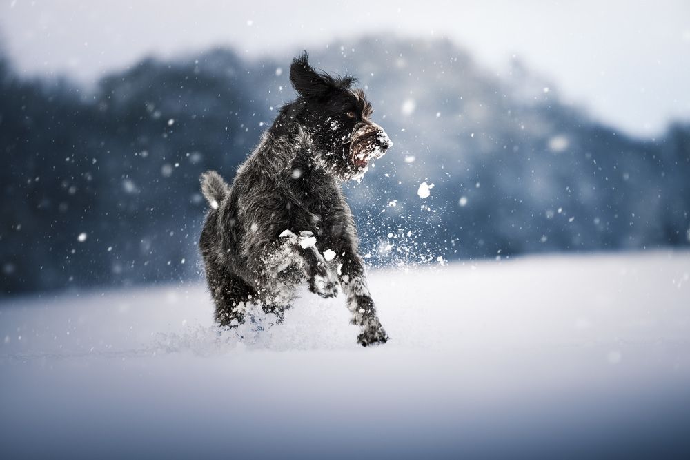 Photograph by Malaurie Petit