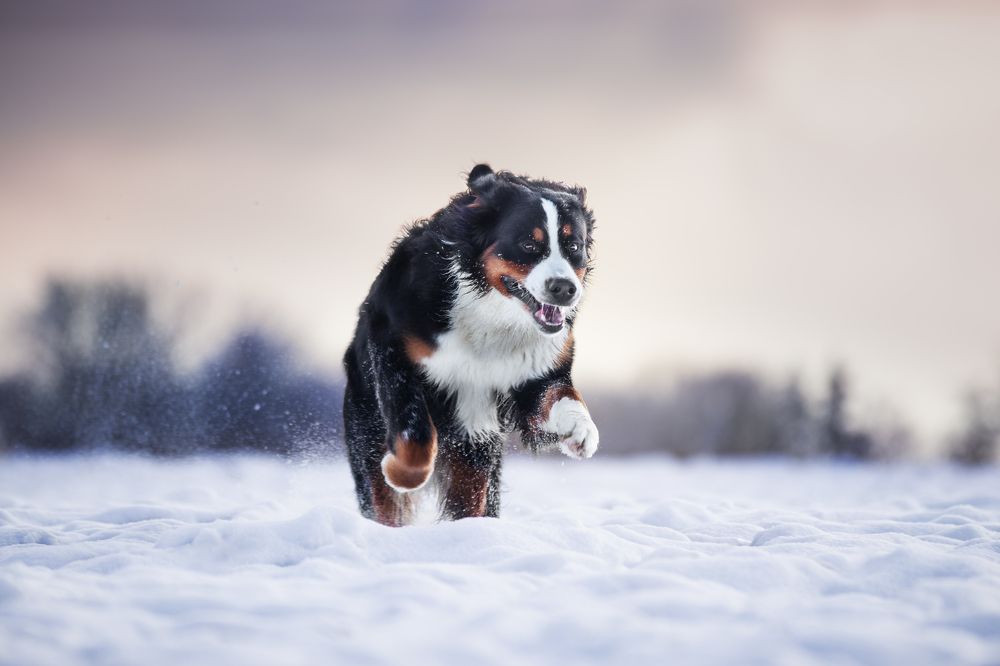 Photograph by Malaurie Petit