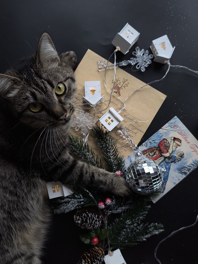 Photograph by Катрина Покумейко