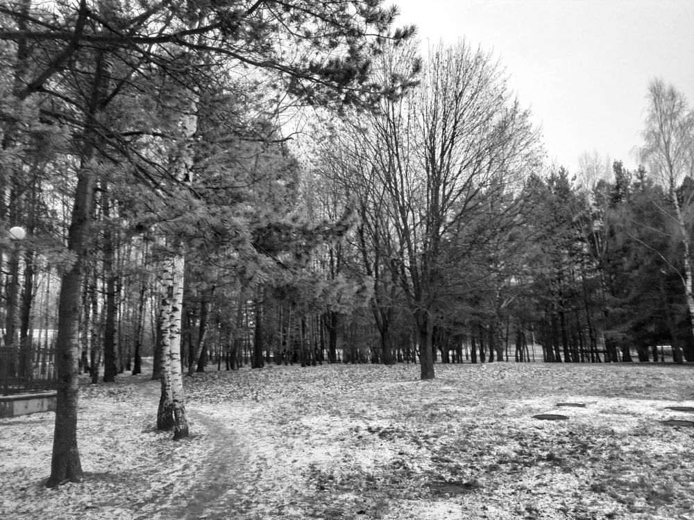 Дорога в прошлое /  Way to the past