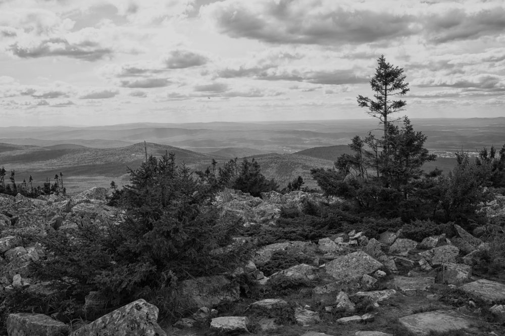 Фотография автора Веста Ягужинская