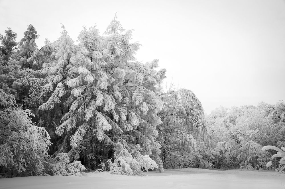 Photograph by Екатерина Караваева