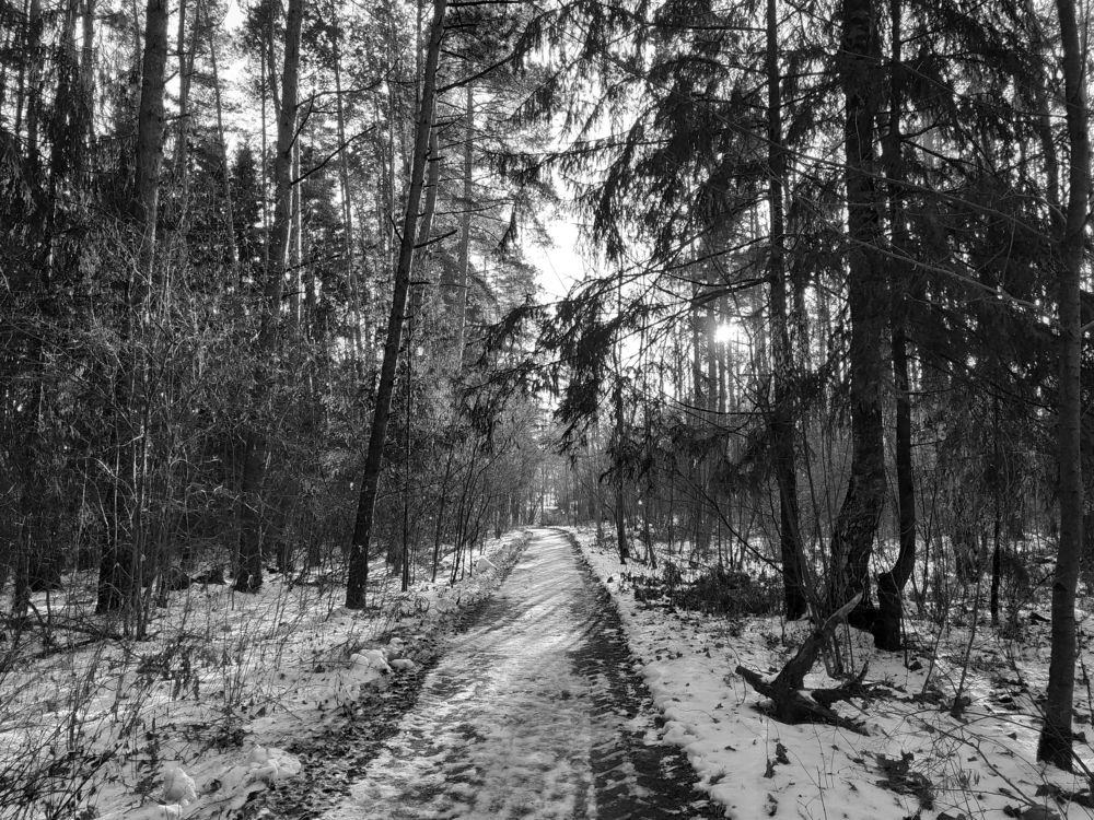 Photograph by Tatiana