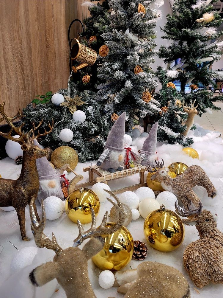 Photograph by Catherine Walter-Prêtre